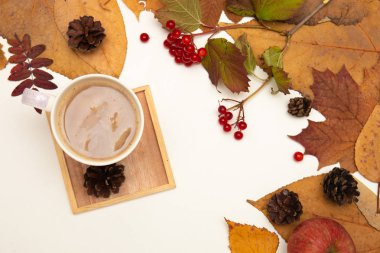 sonbahar yaprakları sheeches çam kırmızı berry viburnum ahşap bardak tutucu beyaz arka plan pitchfork yer kopya ahşap akçaağaç sonbahar düz yatıyordu