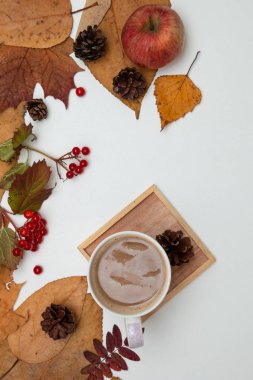 sonbahar yaprakları sheeches çam kırmızı berry viburnum ahşap bardak tutucu beyaz arka plan pitchfork yer kopya ahşap akçaağaç sonbahar düz yatıyordu