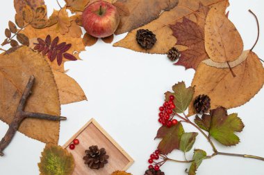 sonbahar yaprakları sheeches çam kırmızı berry viburnum ahşap bardak tutucu beyaz arka plan pitchfork yer kopya ahşap akçaağaç sonbahar düz yatıyordu