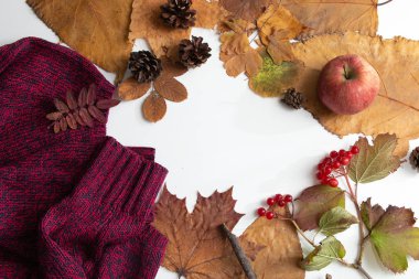 sonbahar beyaz bir masa arka plan koniler üzerinde bir dal üzerinde sarı kırmızı kazak çilek bırakır ağaç turuncu görünümü tepeyle yer kopya düz yatıyordu