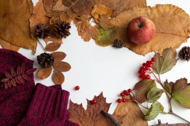 sonbahar beyaz bir masa arka plan koniler üzerinde bir dal üzerinde sarı kırmızı kazak çilek bırakır ağaç turuncu görünümü tepeyle yer kopya düz yatıyordu