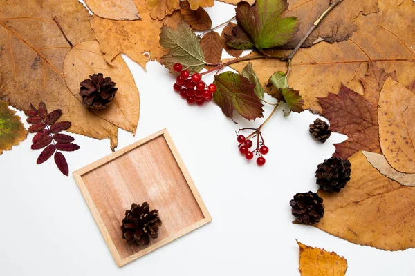 Autunno Foglie Pecore Pino Rosso Bacca Viburno Portabicchieri Legno Bianco — Foto Stock