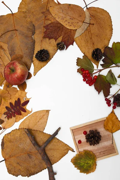 Осенние Листья Овцы Сосново Красные Ягоды Viburnum Деревянная Чашка Держатель — стоковое фото
