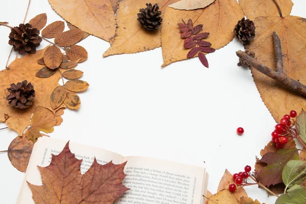 Осенние Листья Овцы Сосново Красные Ягоды Viburnum Деревянная Чашка Держатель — стоковое фото