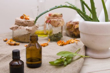 koyu bir cam şişe içine lshey gelen aloe suyu damla damla, ilaç ve doğal kozmetik hazırlanması için aloe suyu, arka planda çeşitli doğal maddeler, kopya alanı, bestseller