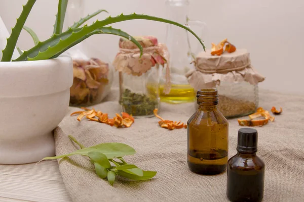 Preparación Medicamentos Naturales Cosméticos Partir Aloe Vera Jugo Aloe Botellas — Foto de Stock