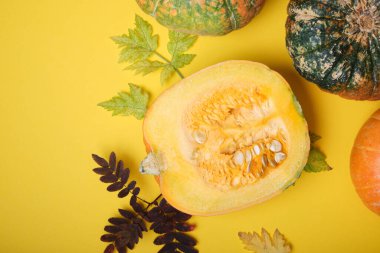 Balkabağını ve farklı balkabaklarını sarı arka planda kes, üst manzara, sonbahar yaprakları ve kabuklu balkabakları