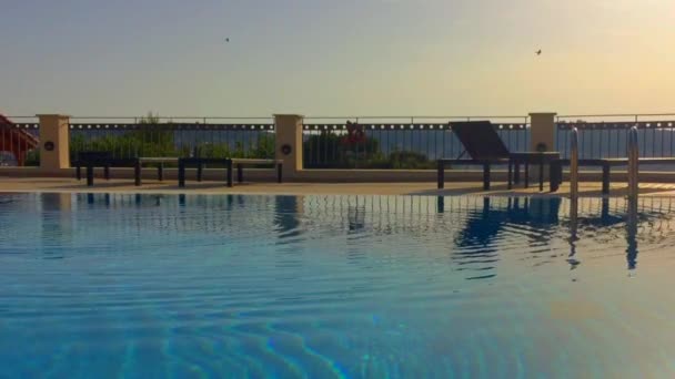 Schwalben Flug Löschen Ihren Durst Wasser Eines Swimmingpools Bei Sonnenuntergang — Stockvideo