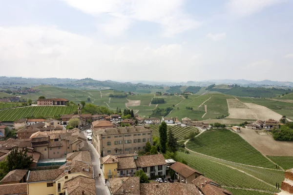 Barbaresco Talyan Piedmont Bölgesinin Cuneo Eyaletinde Görkemli Bağlar Barbaresco Karakteristik — Stok fotoğraf