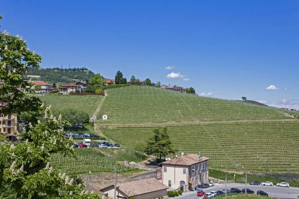 Barolo Piedmont Üzüm Bağları Havadan Görünümü — Stok fotoğraf