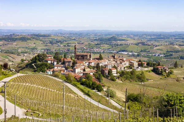 Castiglione Tinella Piedmont Üzüm Bağları Havadan Görünümü — Stok fotoğraf