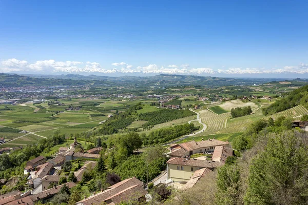 Prachtige Wijngaarden Van Langhe Monferrato Italiaanse Regio Piëmont Onderdeel Van — Stockfoto