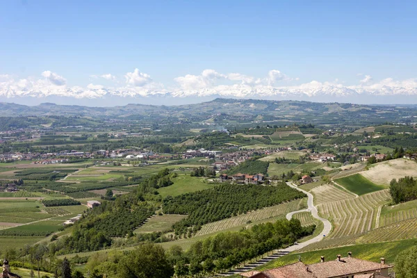 Langhe Monferrato Piedmont Langhe Roero Monferrato Karakteristik Şehirleri Bazılarını Içerir — Stok fotoğraf