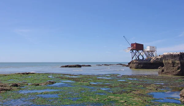 Gironde Haliç Balık Tutma Kabin Royan West Coast Fransa — Stok fotoğraf