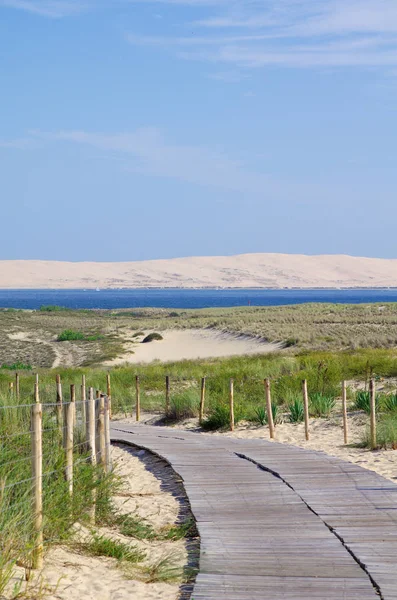 Franska Marinmålning Stora Visa Arcachon Bay Och Berömda Sanddynerna Pyla — Stockfoto