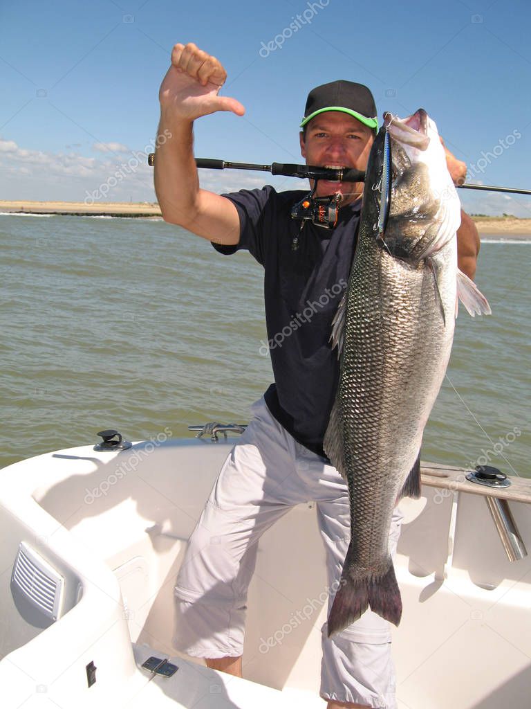 Lucky fisherman holding a large sea bass. Sea fishing, saltwater fishing, boat fishing