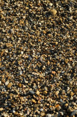 Küçük deniz taşları, sahilde taşlar, denizde tatil, çakıl lar deniz kıyısı. Arka plan. Doku.