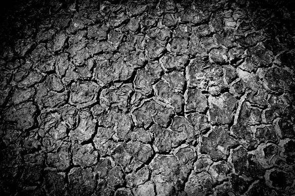 Dried Cracked Earth Soil Ground Texture Background — Stock Photo, Image