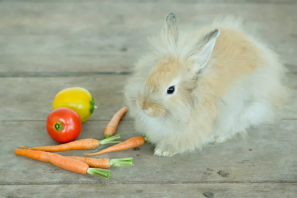 Cute brown rabbit  with vegetable on wooden background. — Stock Photo, Image