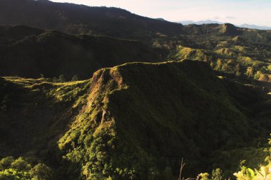Güzel dik yeşil dağ sırtı sabah erken güneş ışığı ile.