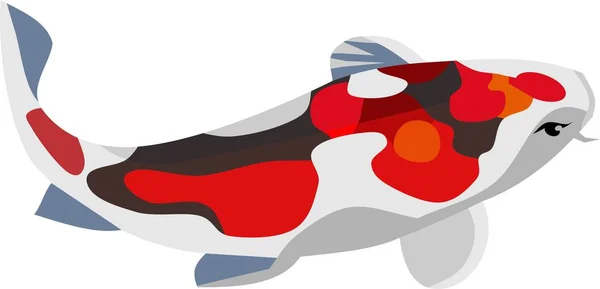 Koi Carp Fish Animal Vector Ilustração — Vetor de Stock