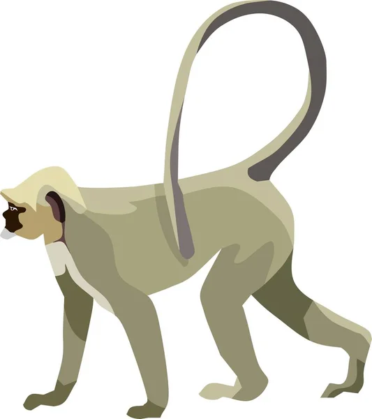 Γκρι Μαϊμού Ζώο Διανυσματικά Εικονογράφηση — Διανυσματικό Αρχείο