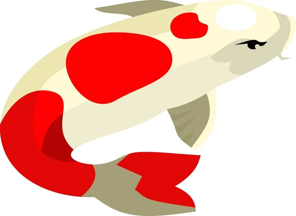 Koi Carp Fish Animal Vector Ilustração — Vetor de Stock