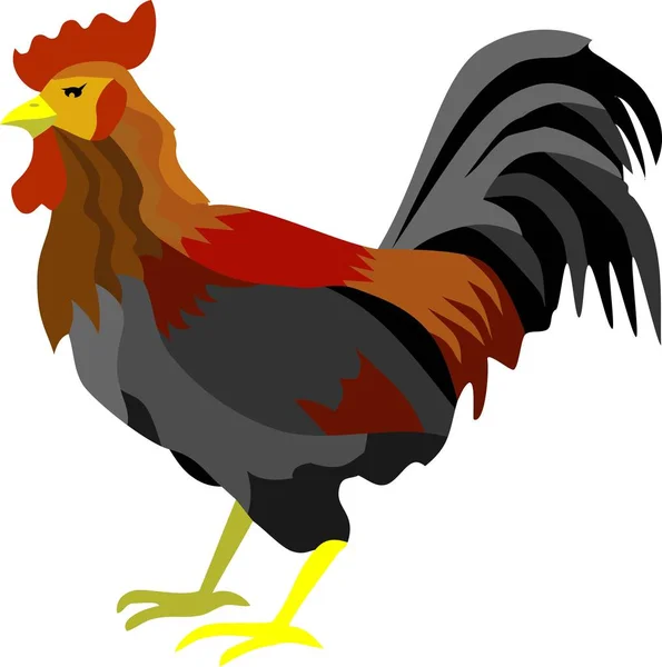Rooster Farm Animal Vector Ilustración — Archivo Imágenes Vectoriales