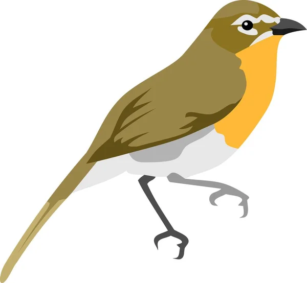 Ilustração Vetor Animal Pássaro — Vetor de Stock