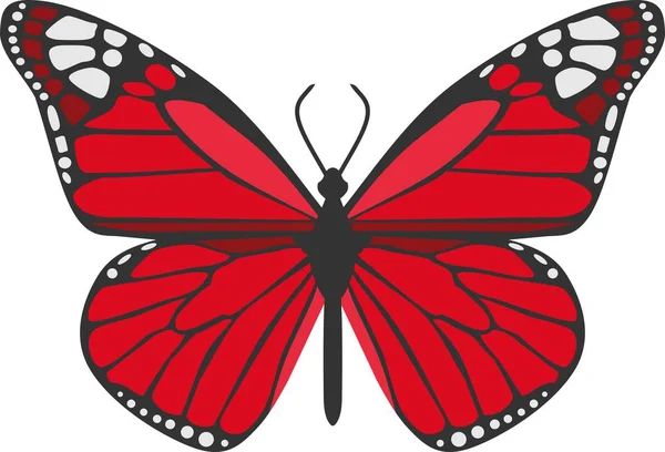 Red Butterfly Animal Vector Ilustração — Vetor de Stock