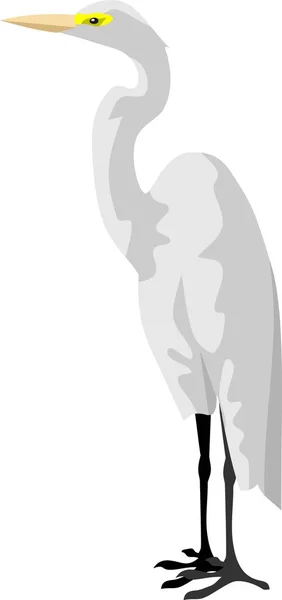 Grúa Blanca Pájaro Animal Vector Ilustración — Archivo Imágenes Vectoriales