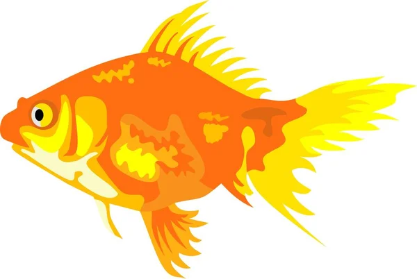 Peixe Dourado Vector Animal Dowload — Vetor de Stock