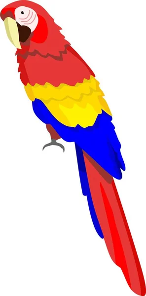Papagáj Madár Állati Vektoros Illusztráció — Stock Vector