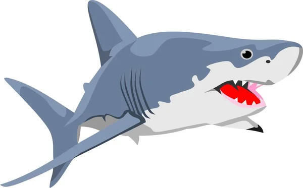 Tubarão Animal Vector Ilustração — Vetor de Stock