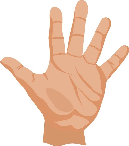 Finger Number Five Hand Vector Illustration — Stock Vector