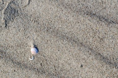 Bir kum plajı ile lots-in boşaltmak detay