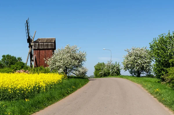 Estrada Rural Por Velho Moinho Vento Uma Paisagem Primavera Colorido — Fotografia de Stock