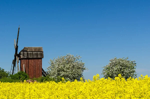 Gammal Trä Väderkvarn Omgiven Vackra Färger Svensken Öland — Stockfoto