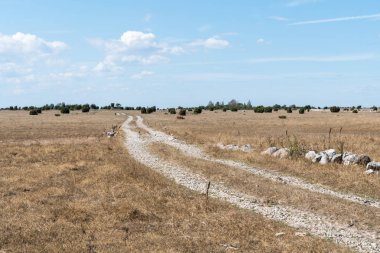 Toprak yolun düz ve kuru otlak itibariyle İsveç üzerinden Öland Adası