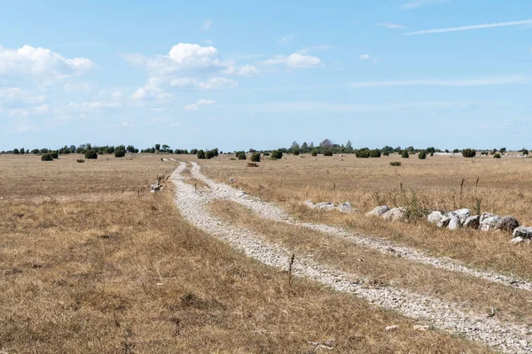 Camino Tierra Través Prado Llano Seco Isla Sueca Oland — Foto de Stock