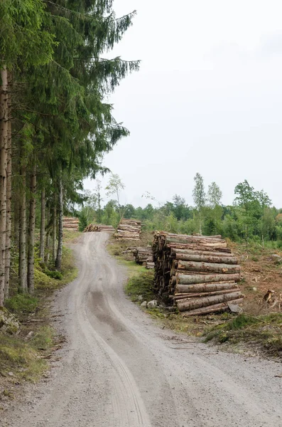 Pieux Billes Bord Une Route Sinueuse Gravier Dans Une Forêt — Photo