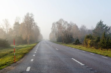 Puslu köy yolunda sonbahar sezonu ilk sabah güneş tarafından