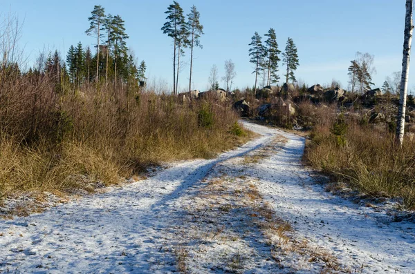 Snowy Dirt Road Bright Forest — Stock Photo, Image