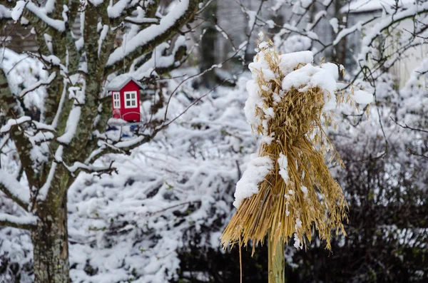 Traditionele Schoof Van Haver Een Vogel Feeder Een Noordse Tuin Rechtenvrije Stockafbeeldingen