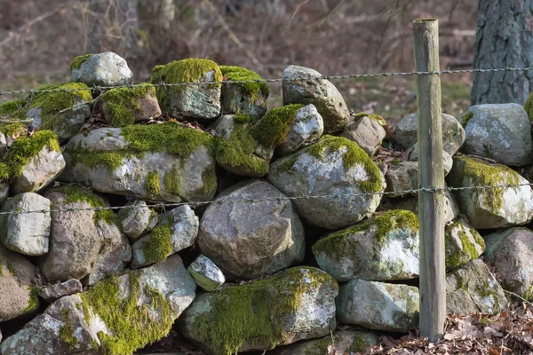 Traditionella Gamla Mossiga Stenmuren Och Taggtråd Som Ett Staket Jordbruksmark — Stockfoto