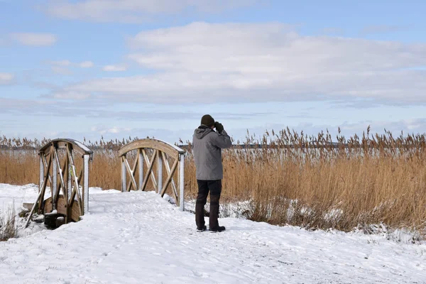 Чоловічий Птахолов Дивиться Marshland Шведської Острів Оланд — стокове фото