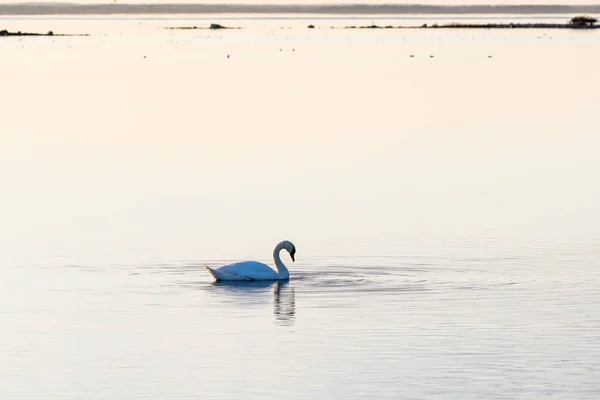 Evening by an absolutely calm water — Stock Photo, Image