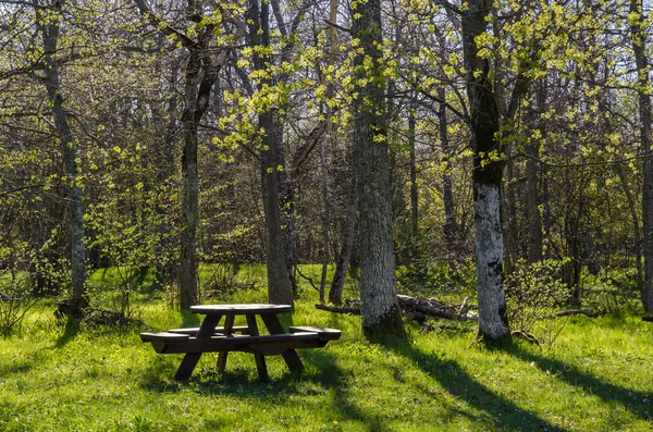 Hermoso lugar de descanso con muebles de madera en un backli brillante —  Fotos de Stock