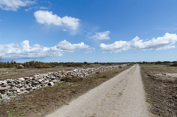 Camino de tierra en el gran prado llano Álvaret en el sueco es —  Fotos de Stock