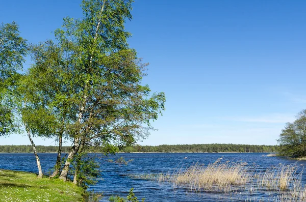 Vacker utsikt från naturreservatet Horns Kungsgard på SW — Stockfoto